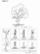 点検