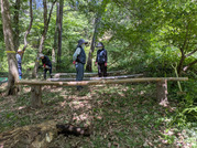 PXL_20260529_005911602
