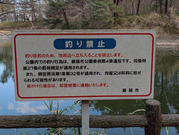 PXL_20260323_064442733