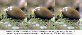 img-211108042330-0001