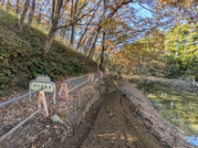 PXL_20251130_033408226