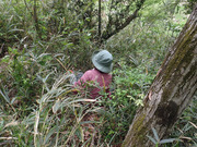 P4200101