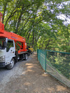 PXL_20260515_041751200