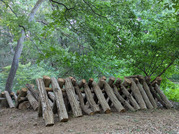 PXL_20260530_080451876