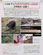 PXL_20260319_053054714