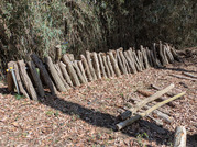PXL_20260314_032410783