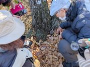 PXL_20251129_025839330