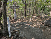 PXL_20260531_050312144