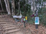 PXL_20260119_053752056