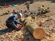 PXL_20251216_025712125