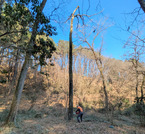 PXL_20260116_015202777