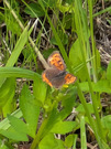 PXL_20260624_012158381