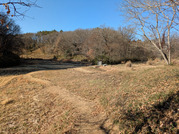 PXL_20260101_031225642