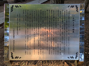 PXL_20260110_063116376