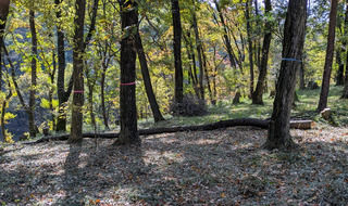 PXL_20251115_022608292