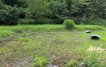 PXL_20260621_082147974