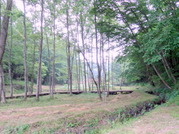 DSC01168
