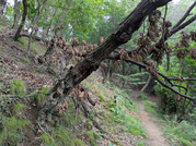 PXL_20260704_072246468