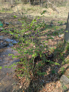 PXL_20260329_040654515
