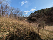 PXL_20260130_021819942