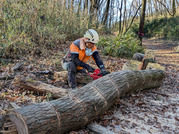 PXL_20260109_015804941