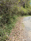 PXL_20260411_024837548