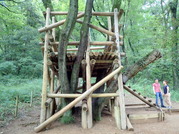 P8120008