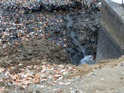 PXL_20251210_065955373