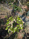 PXL_20260321_014028149