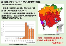 TWC被害軽減の減みみA2