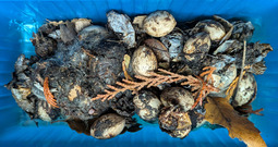 PXL_20251203_024748033