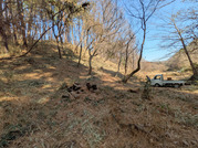 PXL_20260223_033436086