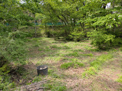 PXL_20260425_034630466
