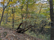 PXL_20251117_234147147