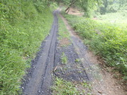 P5310018