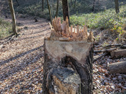 PXL_20260111_010921114