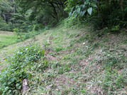 PXL_20260622_090547294