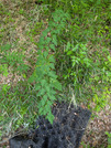 PXL_20260513_030758604