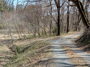 PXL_20260314_030230750