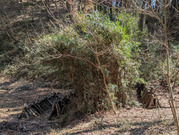 PXL_20260315_032209566