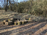 PXL_20260111_020847347