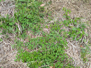 PXL_20260410_043035921