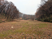 PXL_20251214_034713401