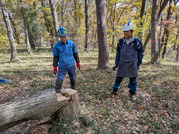 PXL_20251124_020241013