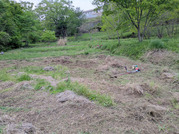PXL_20260419_084840029
