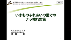 スクリーンショット (5913)