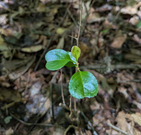 PXL_20260805_040737549