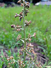 PXL_20260621_091636375