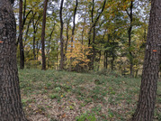 PXL_20251117_235010427