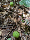 PXL_20260805_040639655